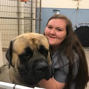 Meet your Posher, Morgan